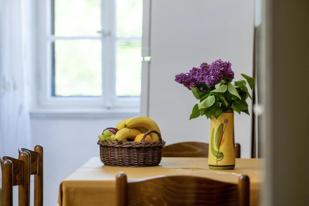 Вилла Marina Plomin In Plomin - Haus Fuer 6 Personen Экстерьер фото